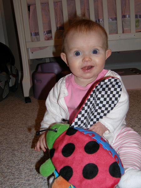 Gratuitous cuteness shot

