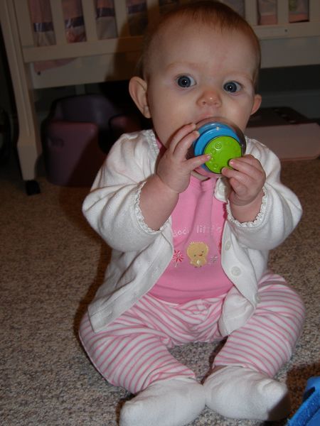 Gratuitous cuteness shot
