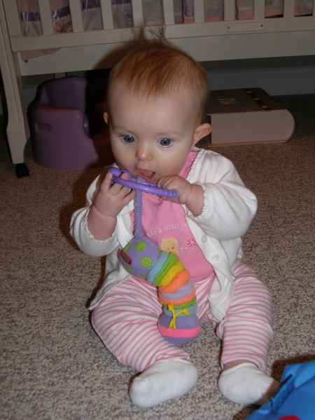 Gratuitous cuteness shot
