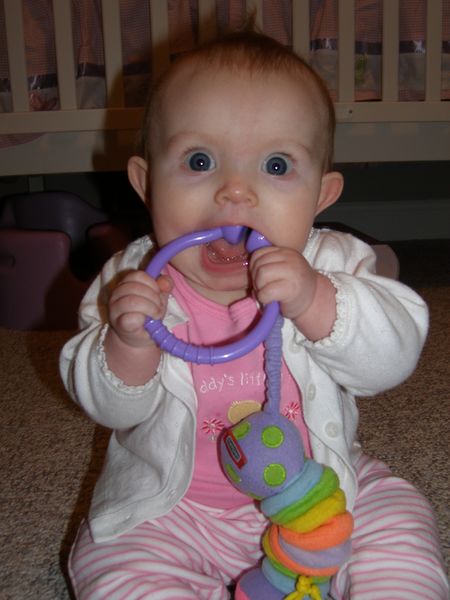 Gratuitous cuteness shot
