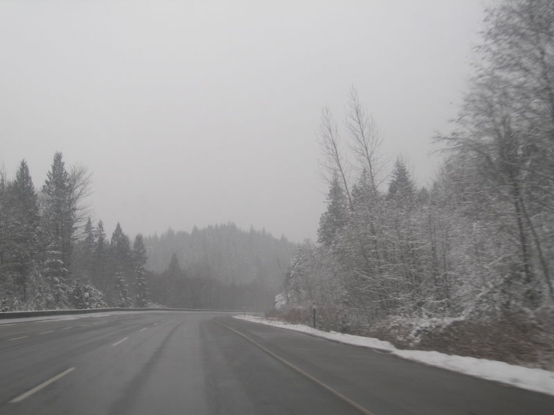 Winter wonderland
