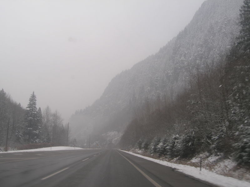 Winter wonderland
