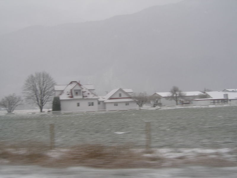 Winter wonderland
