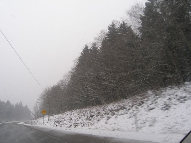 Winter wonderland

