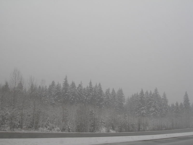 Winter wonderland
