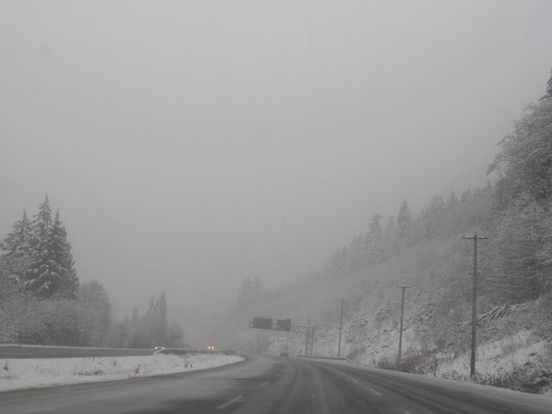 Winter wonderland
