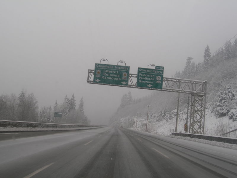 Winter wonderland
