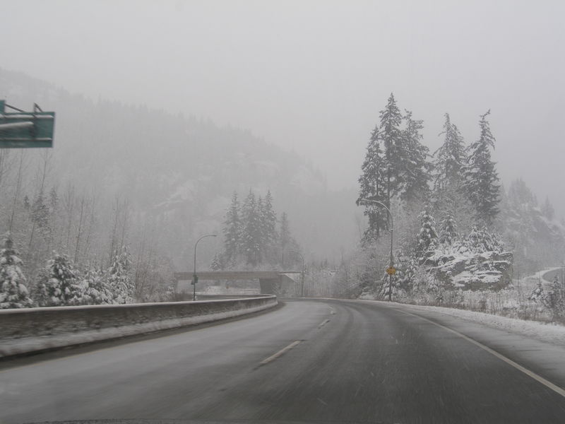 Winter wonderland

