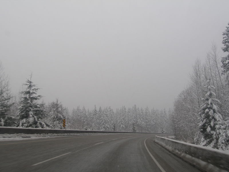 Winter wonderland
