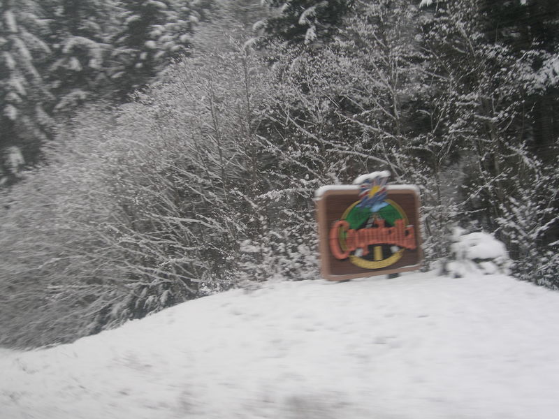 Winter wonderland
