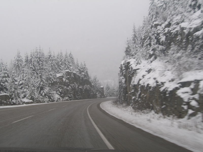 Winter wonderland
