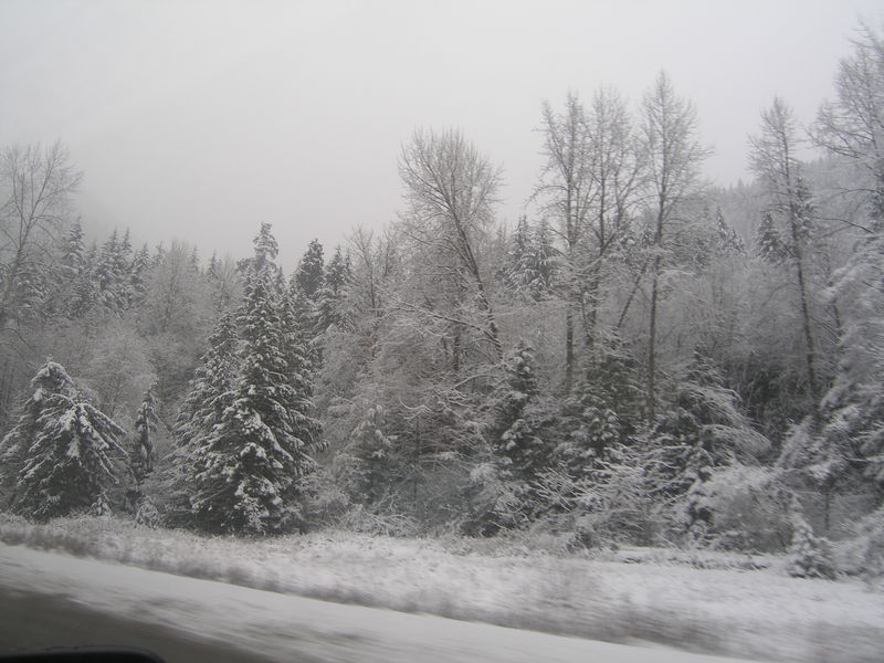 Winter wonderland
