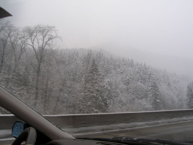 Winter wonderland
