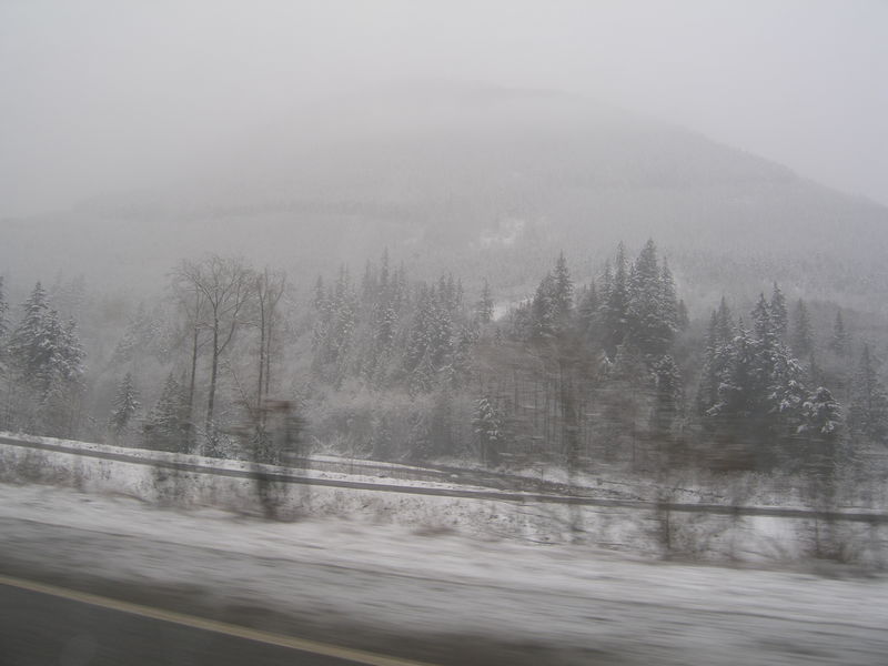 Winter wonderland
