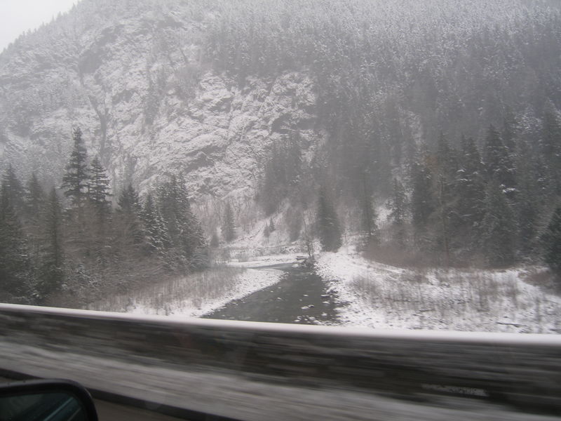 Winter wonderland
