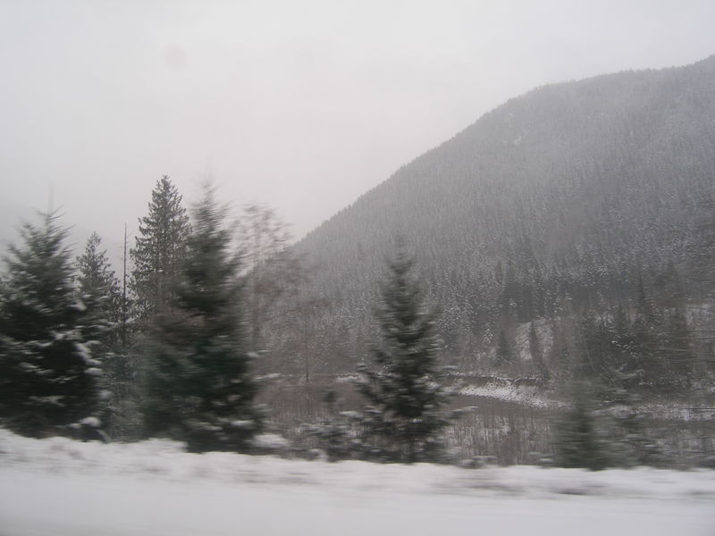 Winter wonderland


