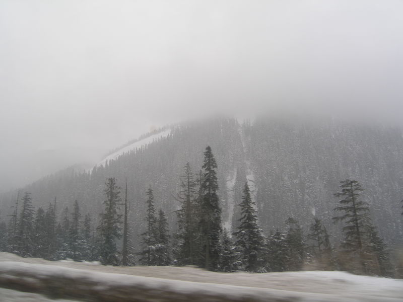Winter wonderland
