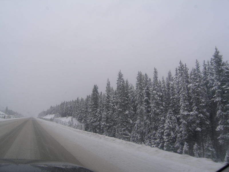 Winter wonderland
