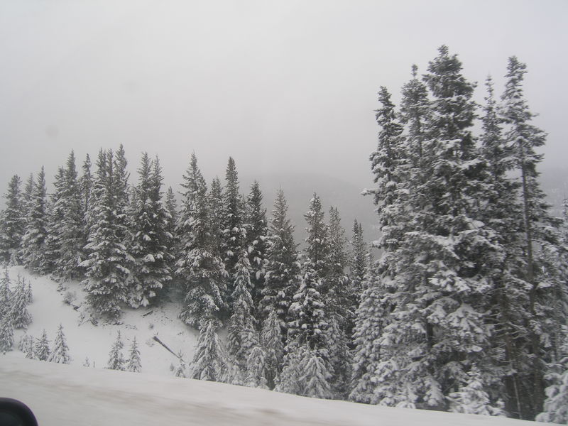 Winter wonderland
