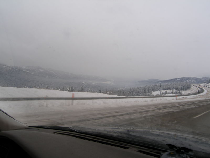 Winter wonderland
