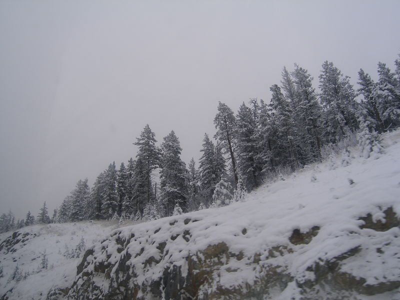 Winter wonderland
