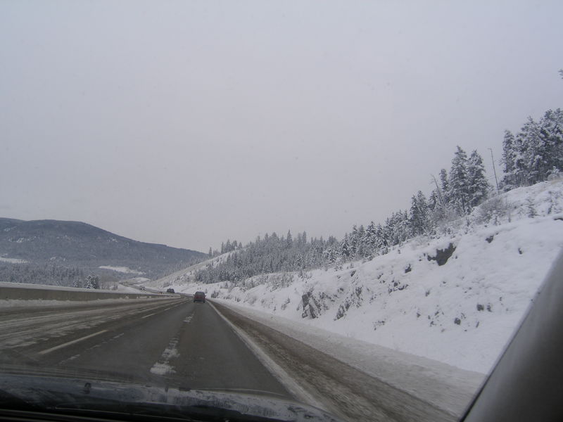 Winter wonderland
