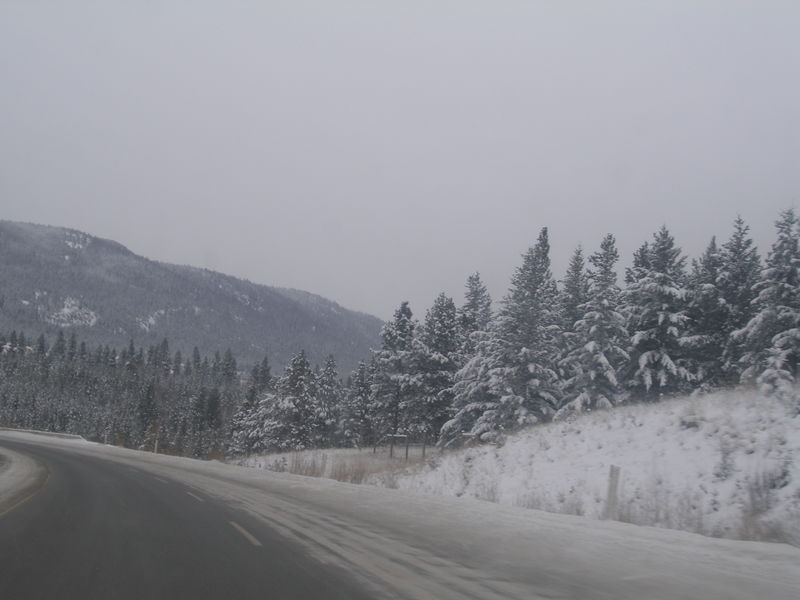 Winter wonderland
