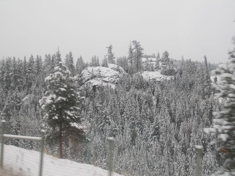 Winter wonderland
