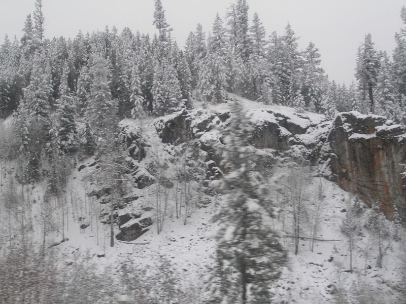 Winter wonderland
