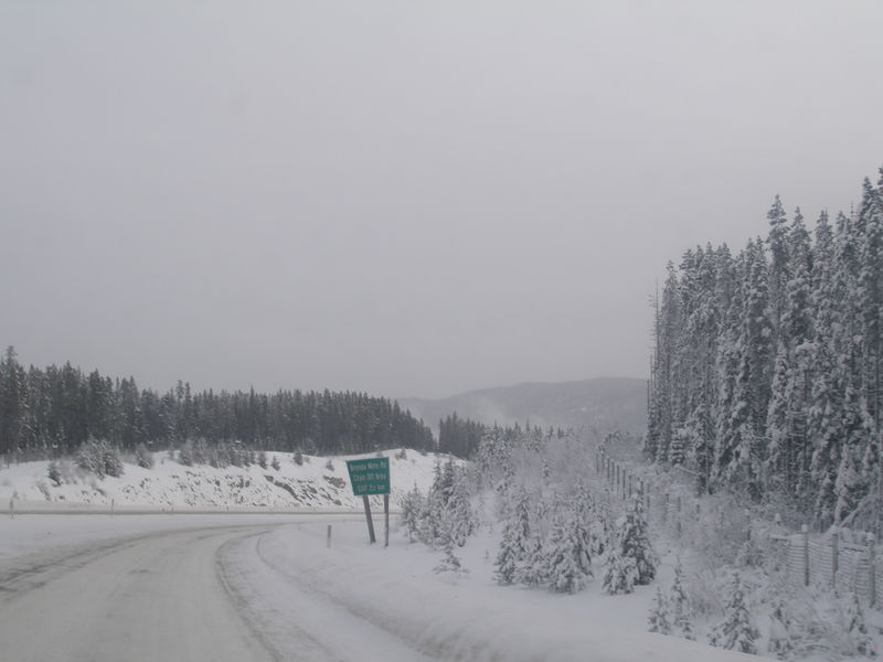 Winter wonderland
