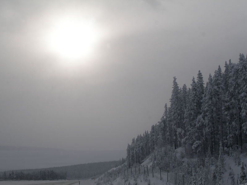 Winter wonderland
