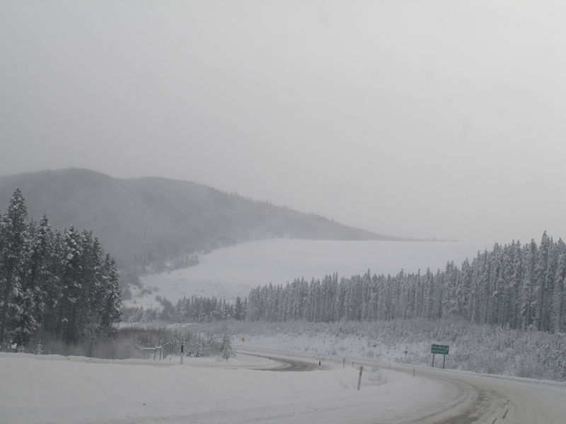 Winter wonderland
