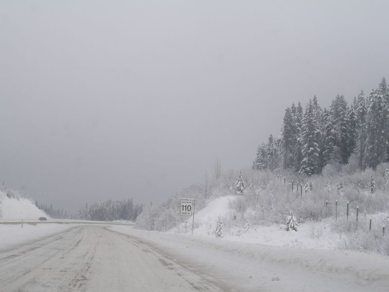 Winter wonderland

