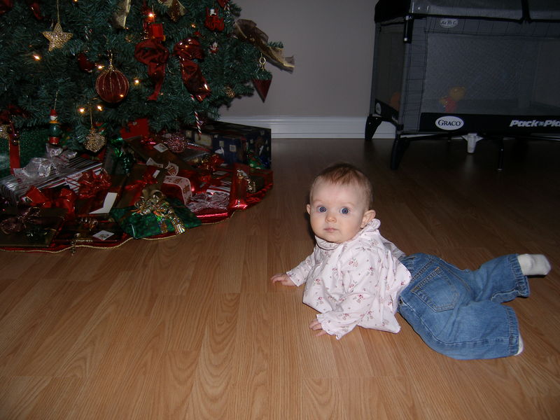 Gratuitous cuteness shot
