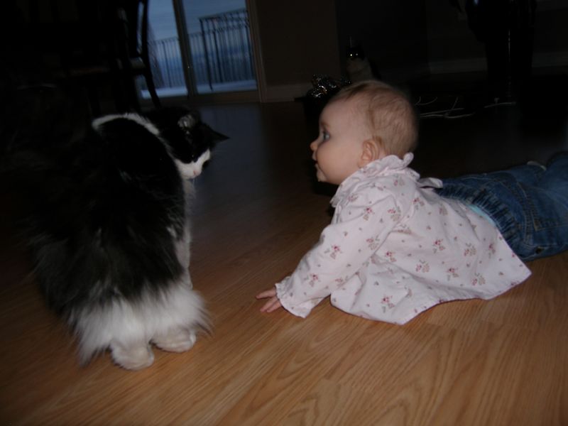 Maddi & Deva
