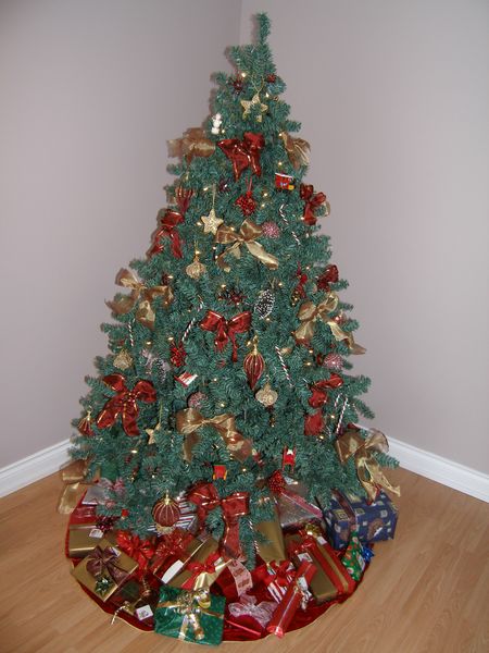 Our pretty Christmas tree
