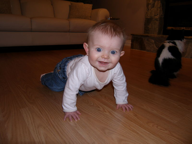 Gratuitous cuteness shot
