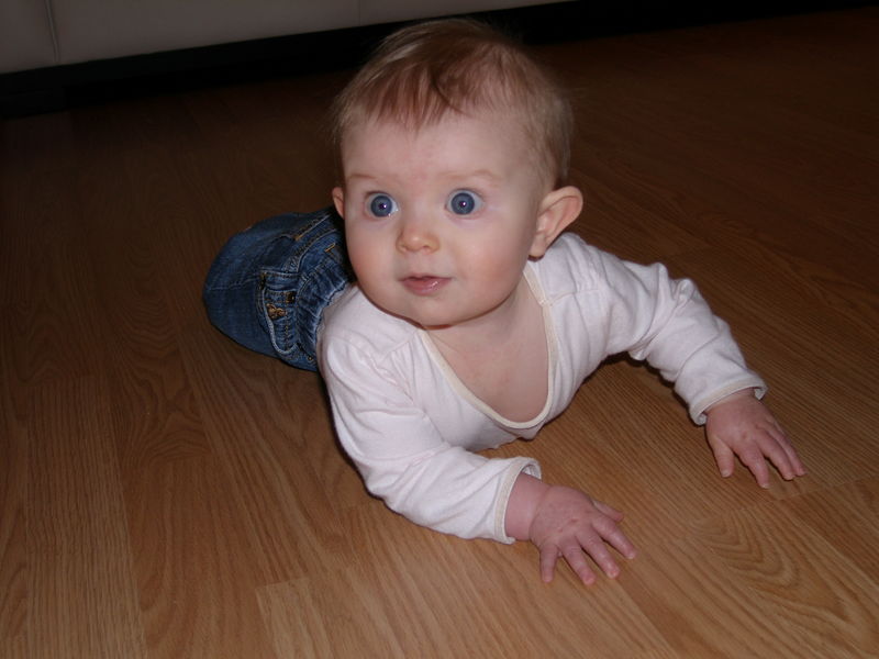 Gratuitous cuteness shot
