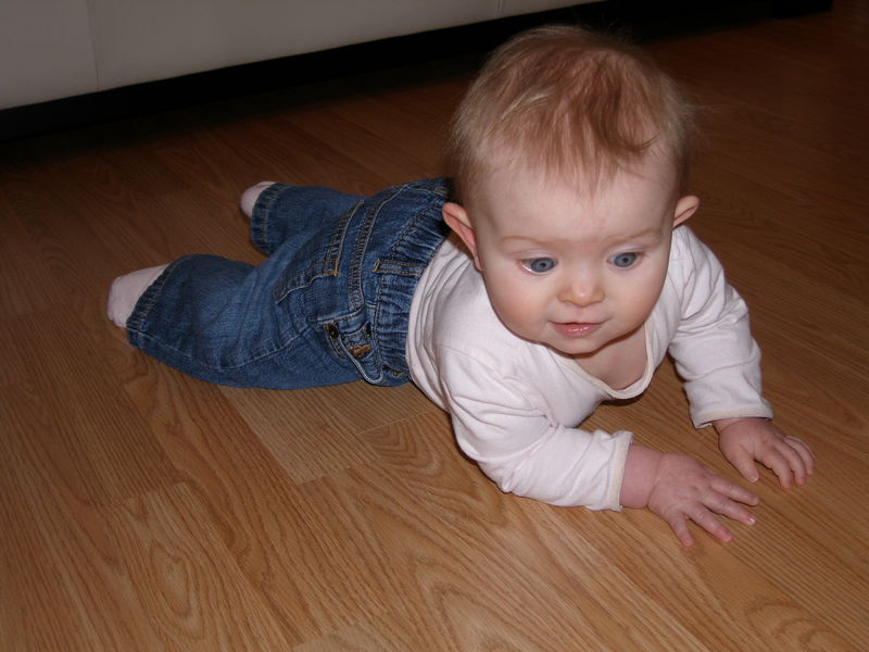 Gratuitous cuteness shot
