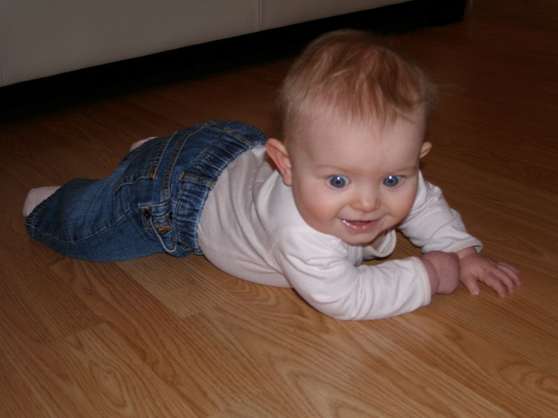 Gratuitous cuteness shot
