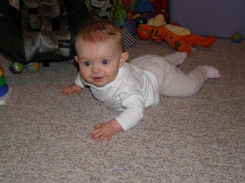 Gratuitous cuteness shot
