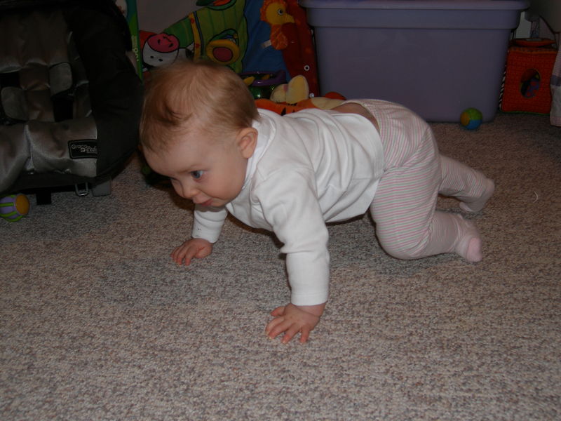 Best-effort crawling
