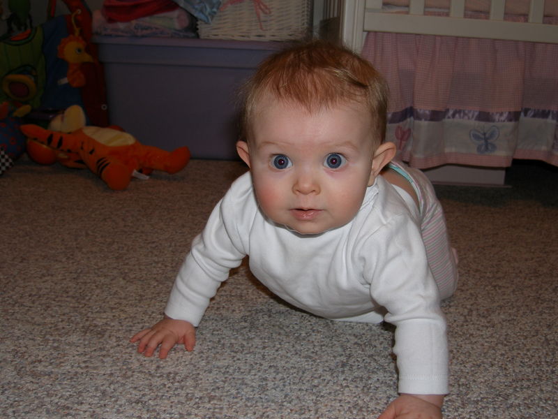 Gratuitous cuteness shot
