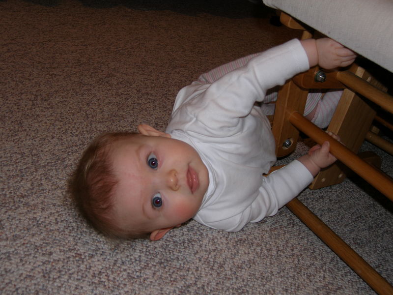 Gratuitous cuteness shot
