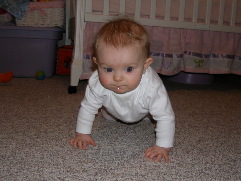 Gratuitous cuteness shot

