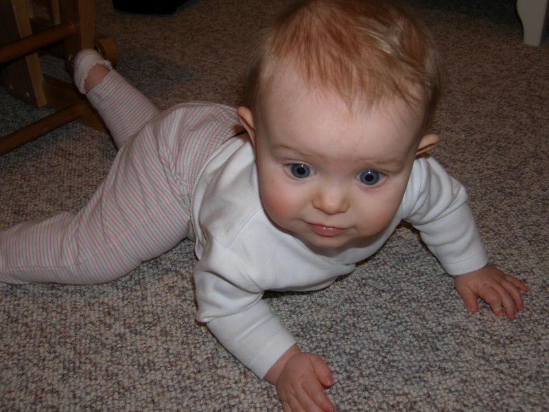 Gratuitous cuteness shot
