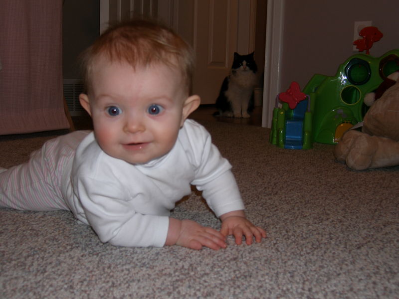 Gratuitous cuteness shot

