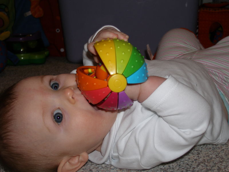 Gratuitous cuteness shot

