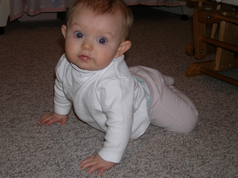 Gratuitous cuteness shot
