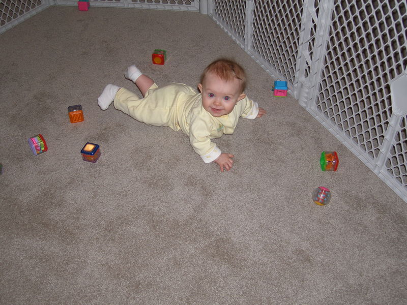 Gratuitous cuteness shot
